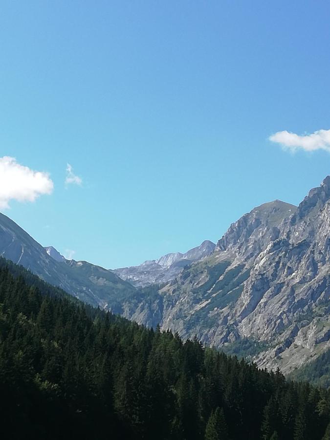 Seeberghof Pensión Seewiesen